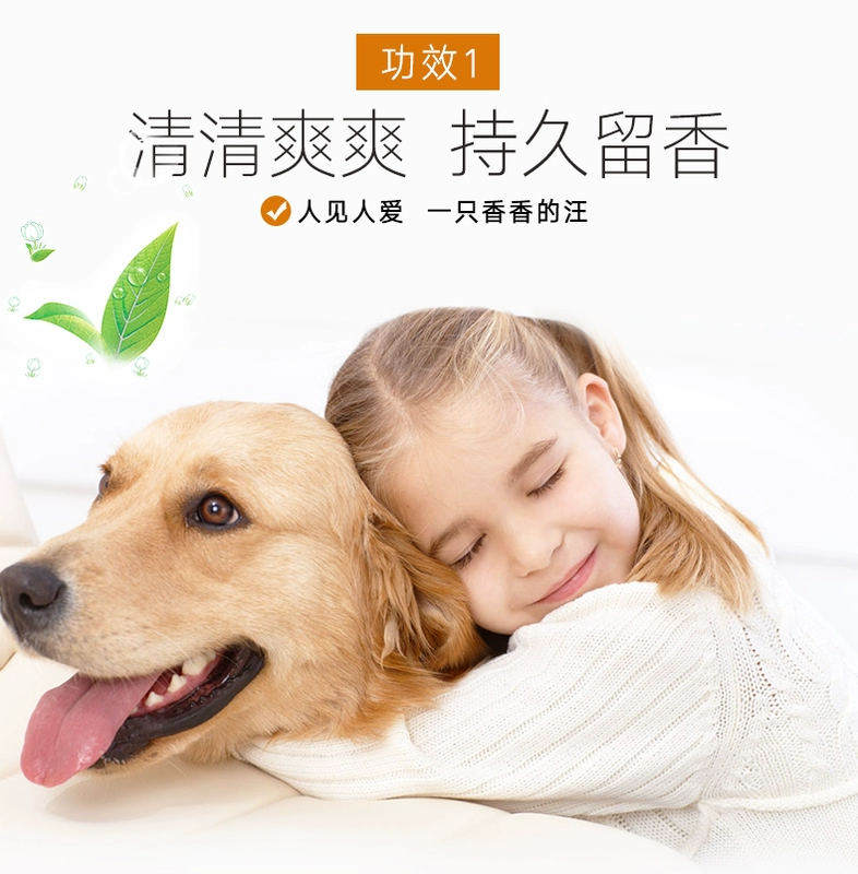 Dog tắm gel cung cấp cho thú cưng lông trắng Teddy mèo khử trùng đặc biệt khử mùi côn trùng đuổi côn trùng loại phổ antipruritic - Cat / Dog Beauty & Cleaning Supplies