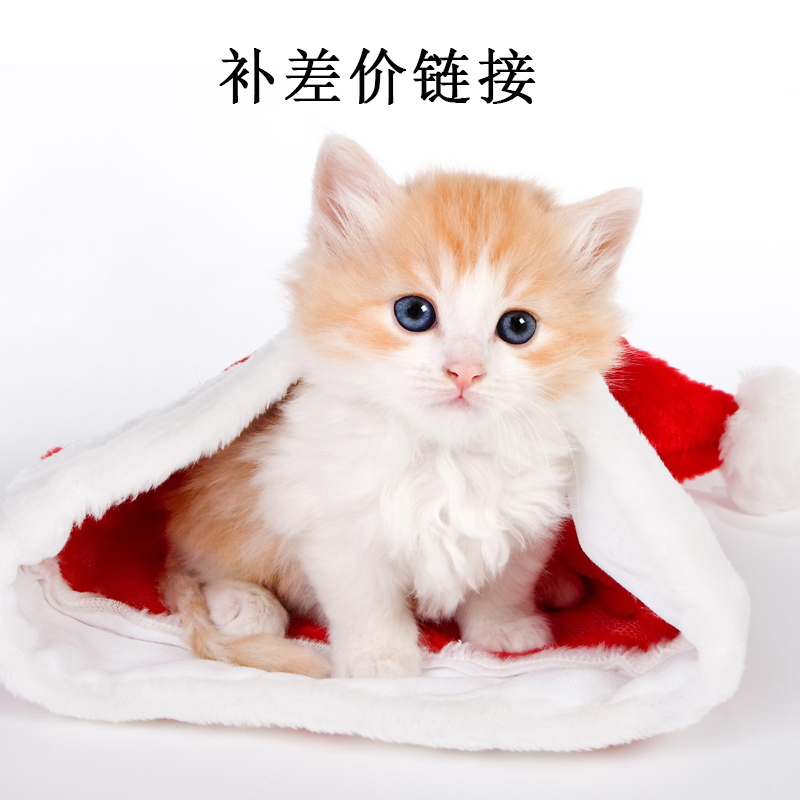 MOOI Muyi solid wood cat villa supplements the difference hyperlink