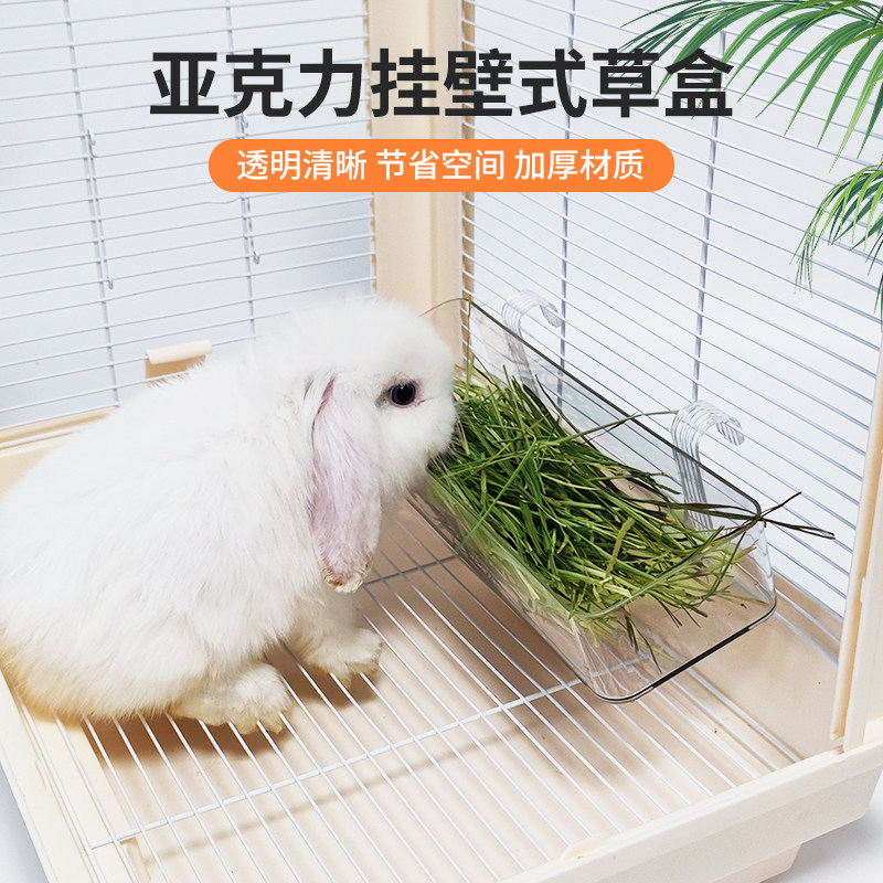 2025 new transparent wall-mounted rabbit food container review! high ...