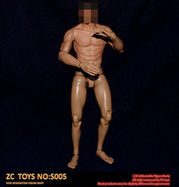 zctoys s005 1 6 semi-coated rubber muscle prime body Suitable for Asian Bruce Lee narrow shoulder prime body spot