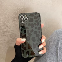 Apple 12 Фотомамно -финансируемые полюс