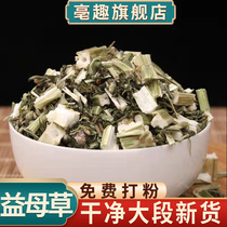 Motherwort 500g g Chinese herbal medicine powdered fresh dry non-wild female conditioning foot soak non-tea Chinese herbal medicine