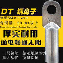 European tinned copper nose copper terminal block DT-300 oil plugging copper joint wire lug National Standard terminal nose