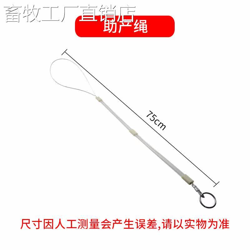 Pig With Midwifery Rope Midwifery Pliers Hollowing Out of the Divine Instrumental Mother Pig Production Tool disposable Long 14332-arm Hand difficulty