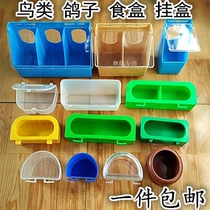 Pigeon Eating Trough Automatic Bird Feeder Anti-Sprinkles Automatic Food Box Chicken Eating Trough Racing Pigeon Letter Dove Trough Automatic Anti-Spit