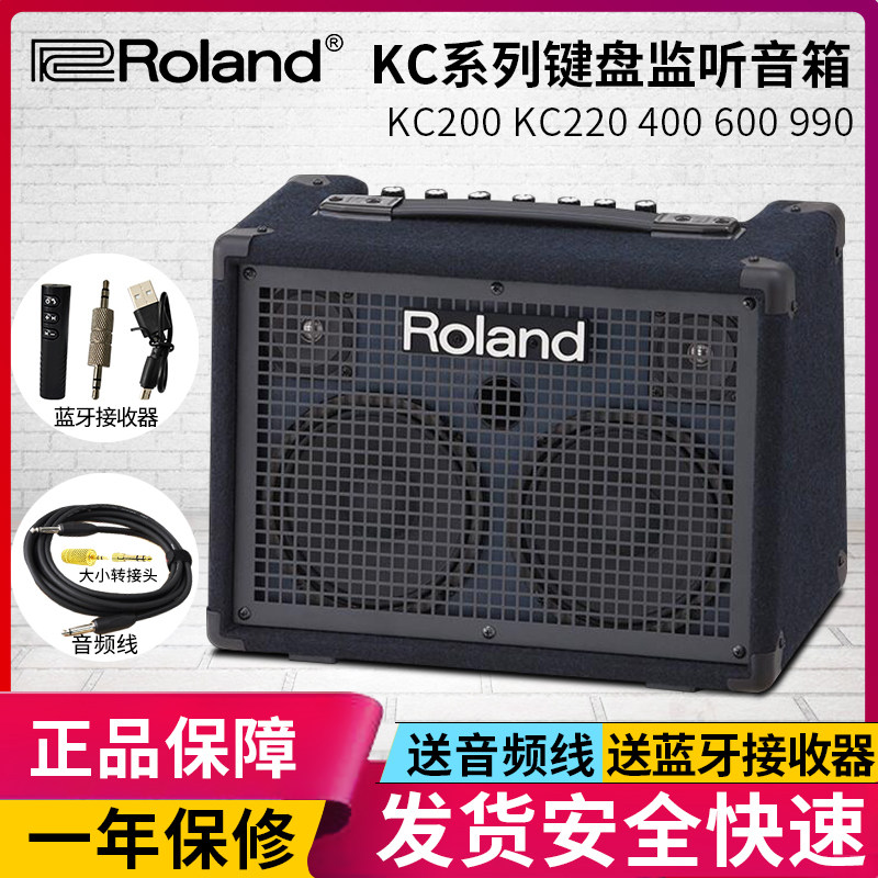 Roland KC220 KC400 KC600 KC990 Electric Drum Guitar Keyboard Synthesizer Speaker