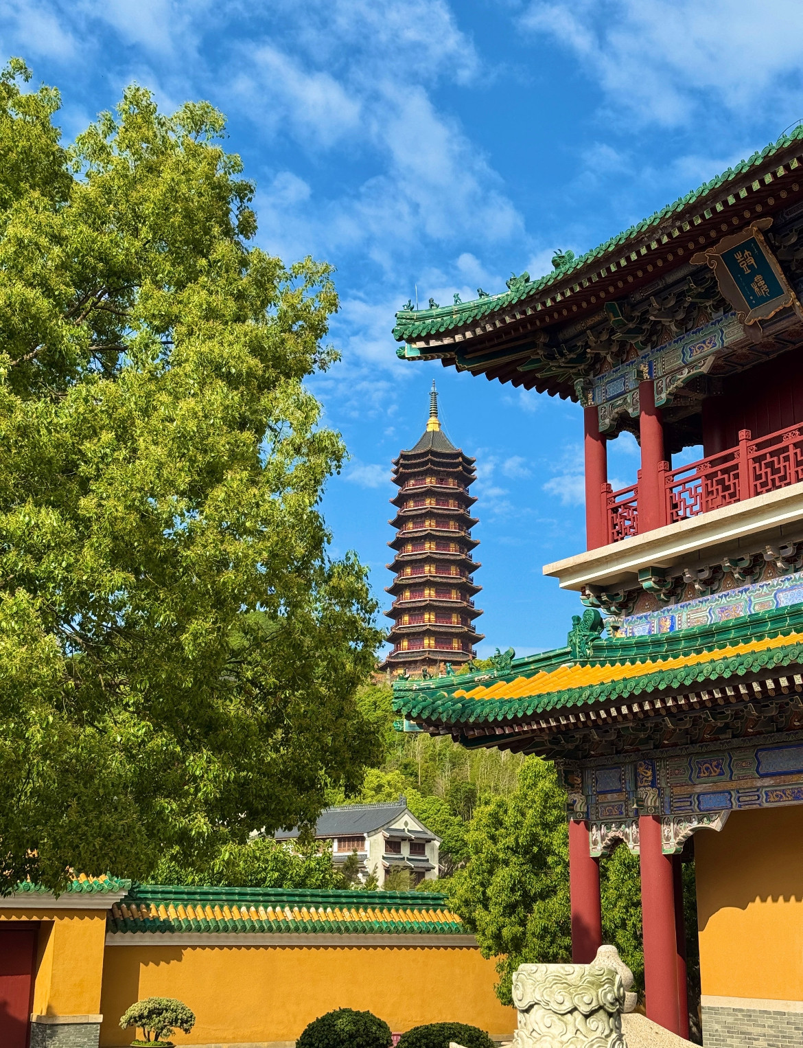 健康来福
