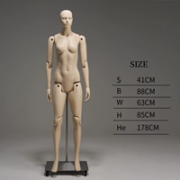 Женская модель цвета кожи Лос-Анджелеса (модернизированная основа шкива)