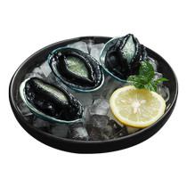New Zealand quick-frozen blue abalone and black gold abalone 500g 6-8 sashimi frozen seafood