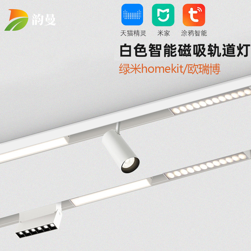 White Magnetic Smart Track Light Embedded Ming Home Living Room Xiaomi Home Graffiti Green Rice Oruibo