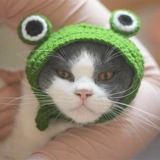 Шапка, шлем, аксессуар для волос, с медвежатами