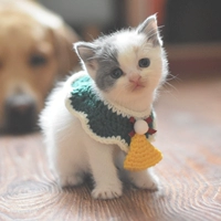 Шарф, трикотажный чокер ручной работы, милый слюнявчик, галстук-бабочка, аксессуар