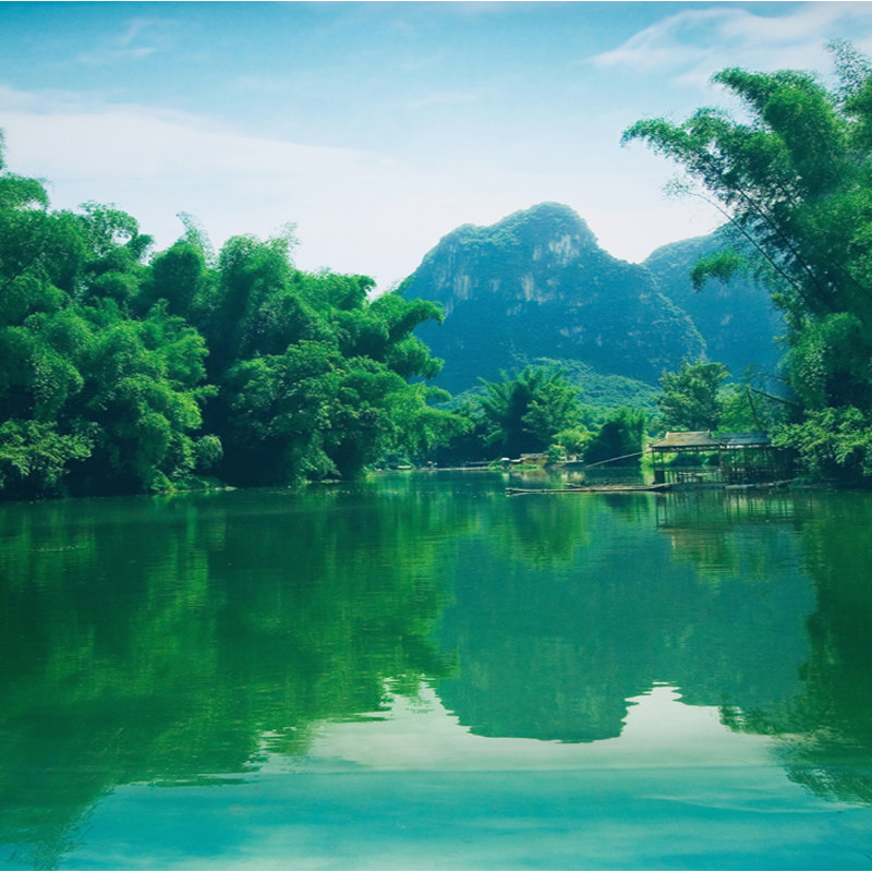 Main Sow Photo Scenery Outdoor Landscape Fields Garden Bamboo Forest Live Background Wall Hanging Cloth 3D Solid Ins Net Red Decoration 