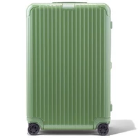 Зеленый шалфей