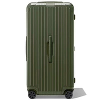 Fairy Palm Green Sports Edition