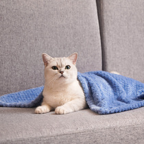 Pet blanket quilt Coral velvet dog small blanket Cat sleeping mat kennel mat Winter warm pineapple grid blanket