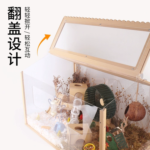 鼠鼠星球 Хаммерс Кейдж Золотой шелковый медведь Чао да Биг Вилла Большая 80 Основная базовая коробка Цветок Чжи крысы