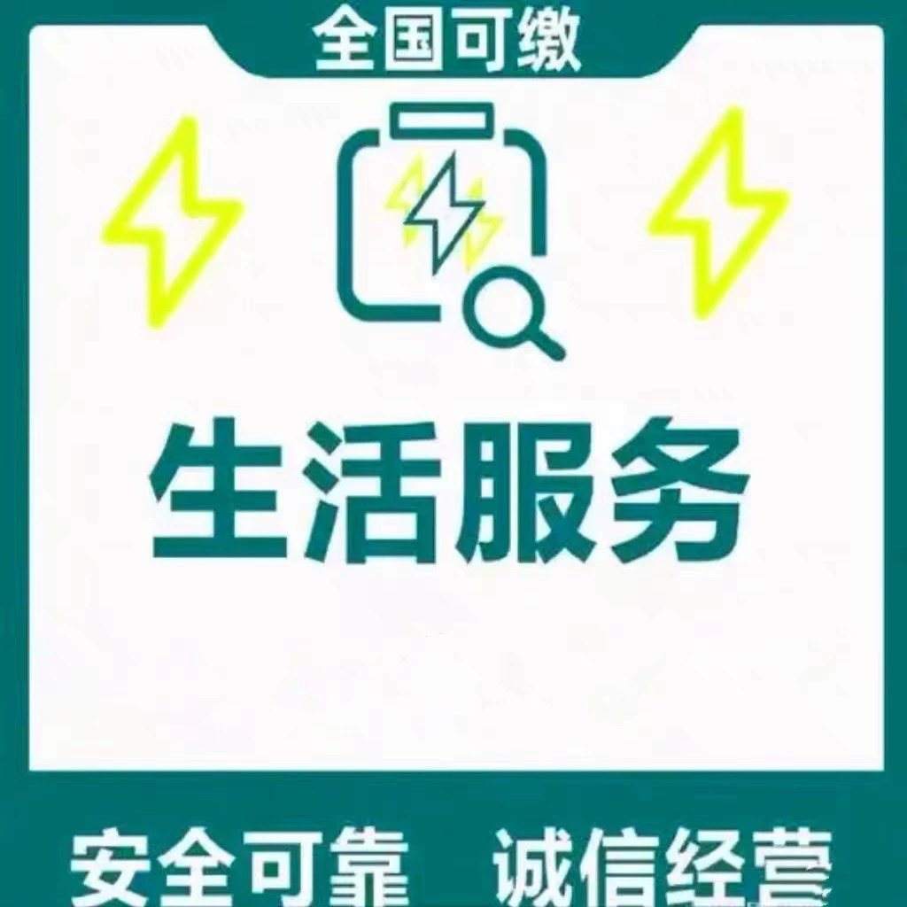 /代交缴费/商务/国网/南网/电费/水费/燃气费/充电桩