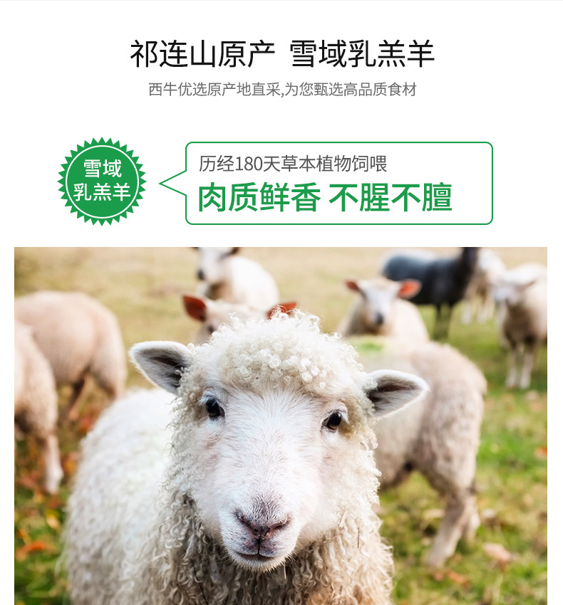 西牛优选  雪域乳羔羊羊肉套餐  1100g 图3