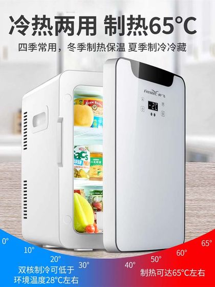 新飞20L小冰箱小型迷你宿舍用车载冰箱冷藏冷热箱220V12V车家两用