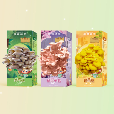 【两盒装】蘑菇精灵diy蘑菇种子