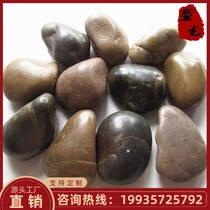Chengdu Yuhua Stone Pebbles Black White Colorful Landscaping Pavement Flower Potted Courtyard Pavement Fish Tank Hydroponics