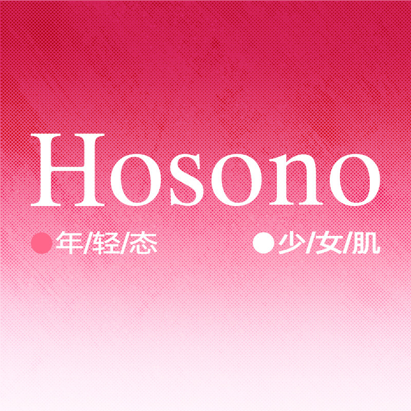 hosono旗舰店的LOGO