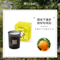 Japanese incense Hall Esteban imported scented candle plant essential oil fragrance bedroom niche hand gift