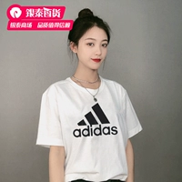 GL0649/модель темы