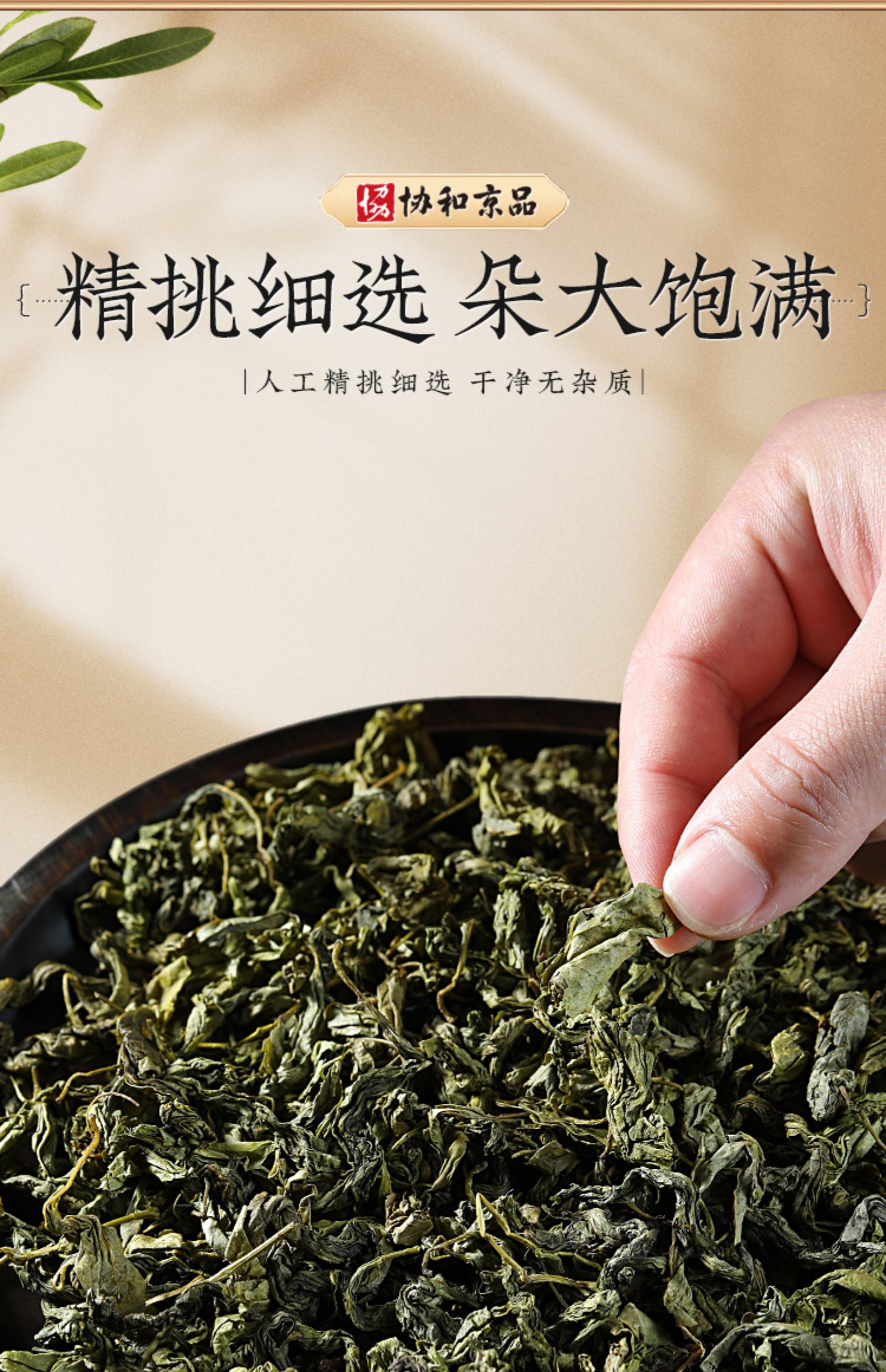 适合夏天喝的茶！【协和京品】丁香叶茶