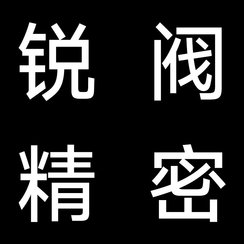 锐阀精密仪表设备的LOGO