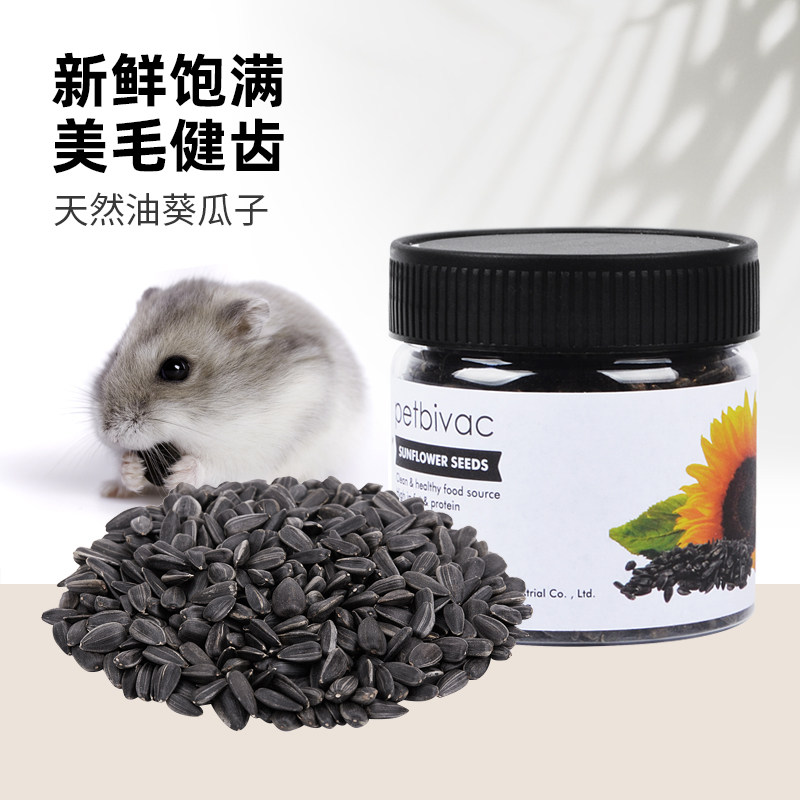 Harder snack snack bear grinding tooth sunflower seed nutritional supplies for small pet feed food staple food