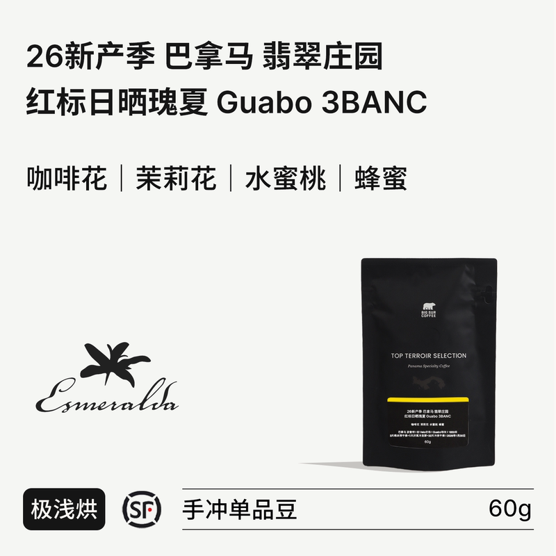 Big Sur 2026 New Harvest Season Panama Jade Estate Red Label Sun-Dried Gesha Guabo 3Banc