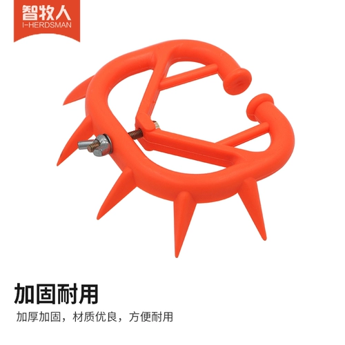 Умная овчарка коровьи шипы носа, разбивая теленка, молоко, корова, корова использует молоко табу -теленка