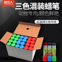 Большие мелки, кисть, маркер, три цвета, 24 шт