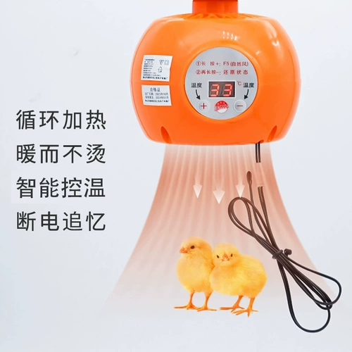 Контролируемая температурой теплые воздушные лампы куриная брошь изоляция