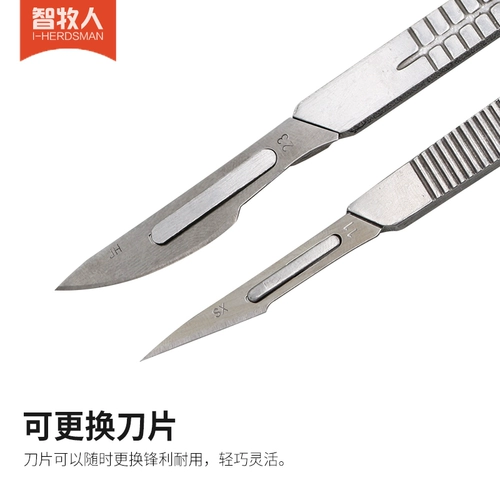 Нож -хирургический зверь с кастрационным ножом, чтобы перейти к мечу стерилизации нож, нож, пигмент из нержавеющей стали, стучащий свинед