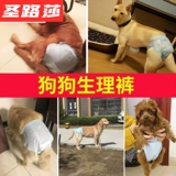 Удобные собачьи физиологические брюки женская собачья брюк