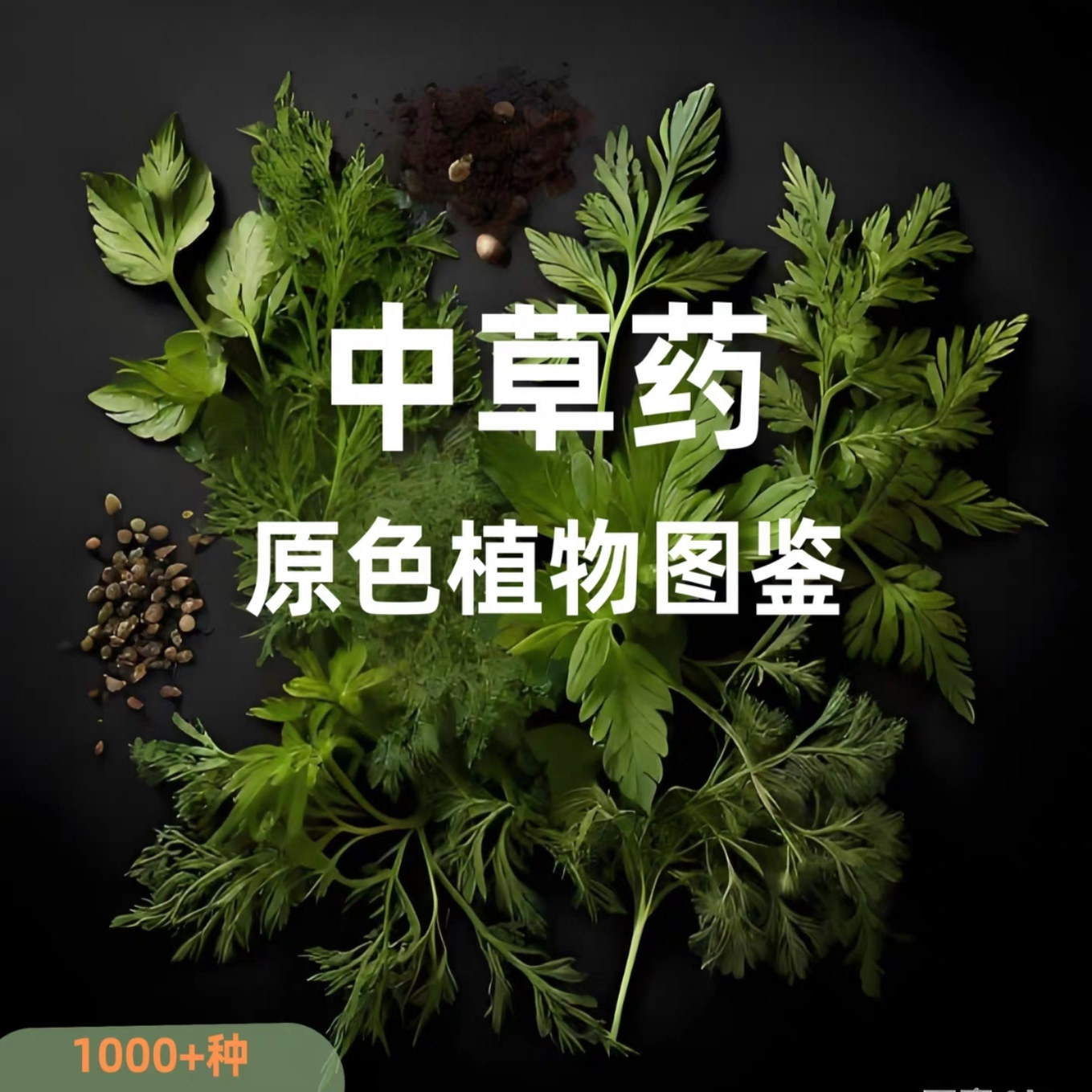 1000種類以上の漢方薬を網羅した完全図解ガイド、フルカラーデジタルアトラスハンドブック