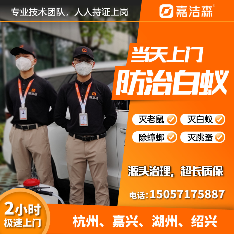 Hangzhou door-to-door termite extermination villa termite prevention Tongxiang Deqing Termite Control Center rodent and insect removal service