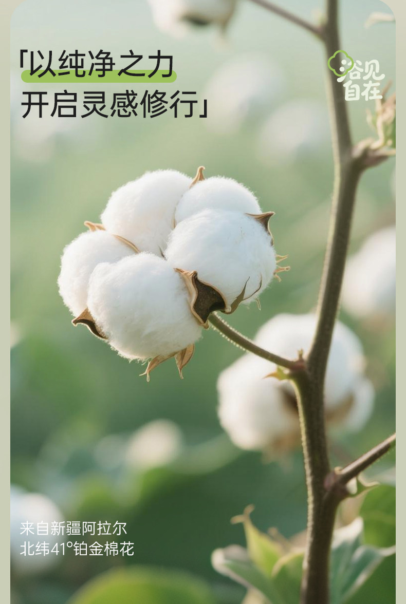 【中國直郵】 潔麗雅 純棉毛巾 2條 (藍色+紫色) 加厚7A抗菌自在熊貓系列柔軟吸水成人家用洗臉毛巾