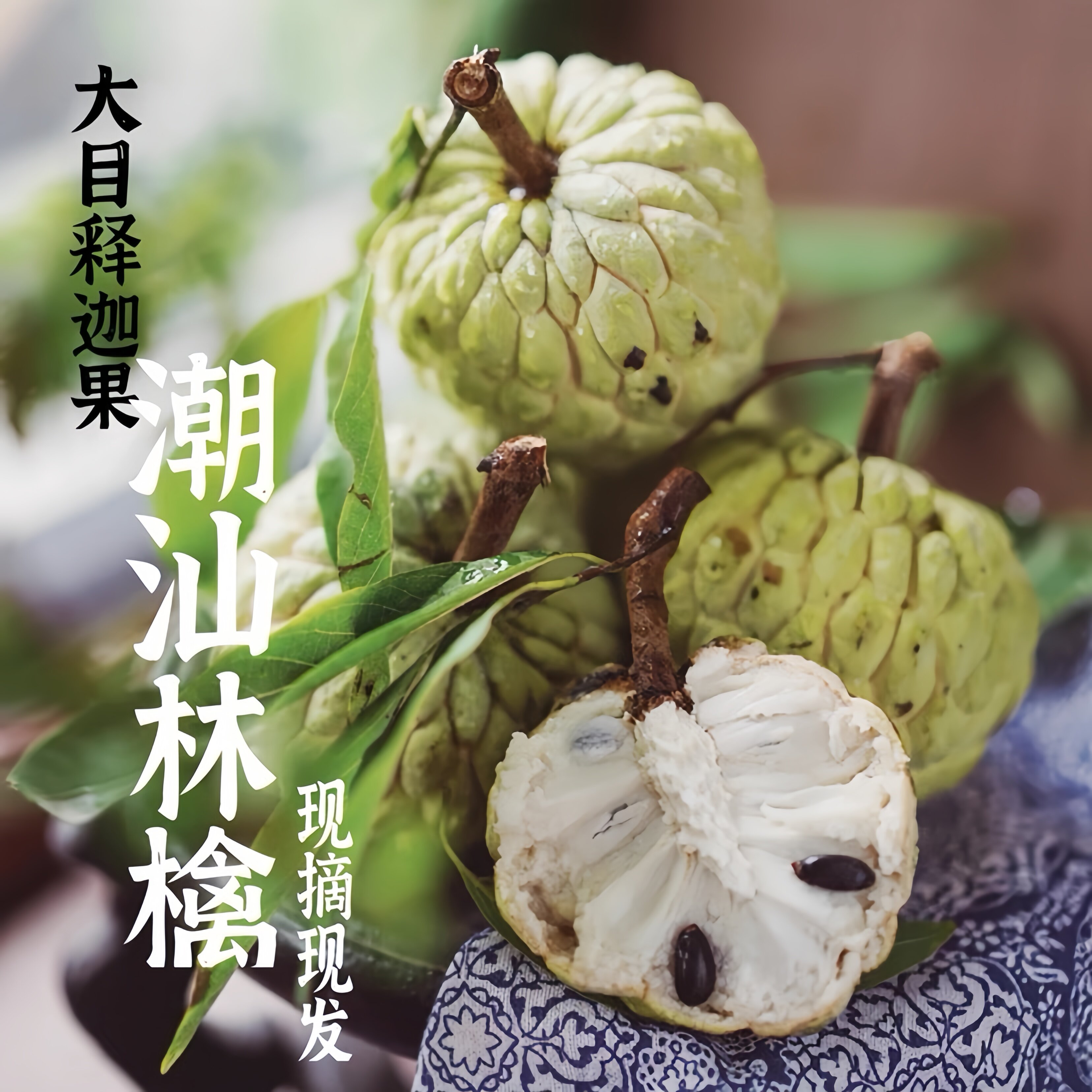 婉婉水果园