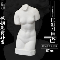 Girls torso plaster statue like 57CM figure plaster head fine art teaching aid painting room sketch sketching portrait sculpture