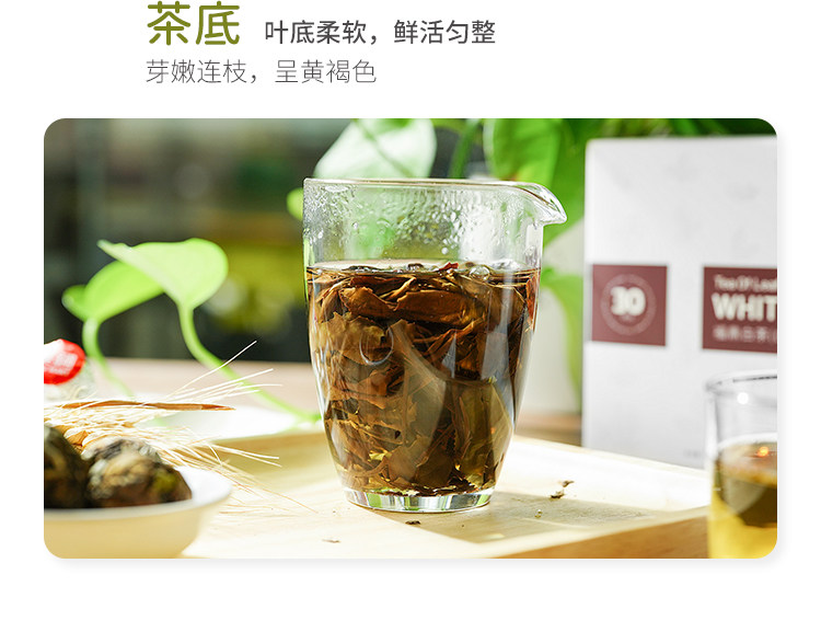 叶铺 福鼎白茶 降火消暑 160g 图7