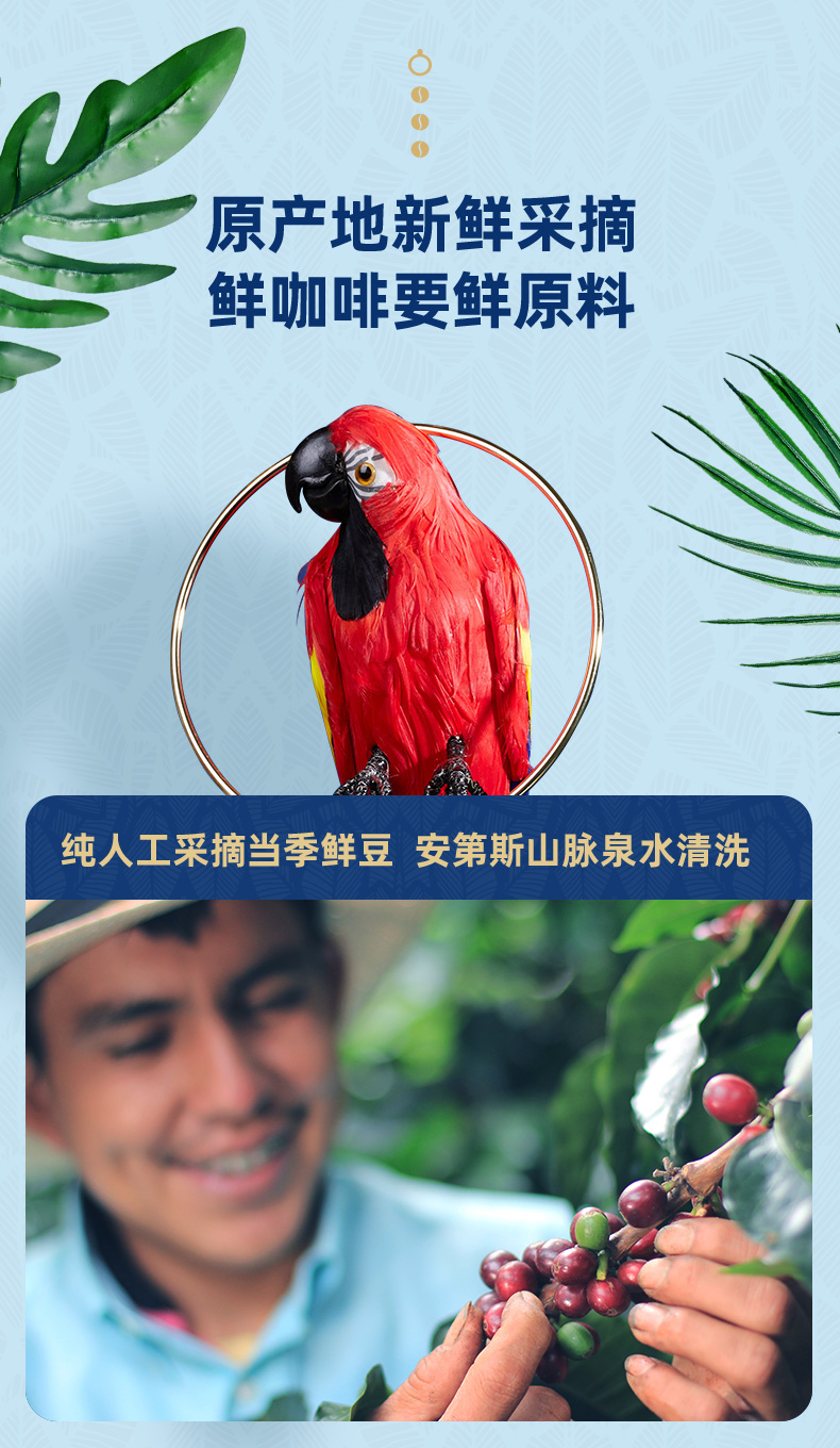 隅田川 哥伦比亚冻干速溶纯咖啡粉 50g 图3