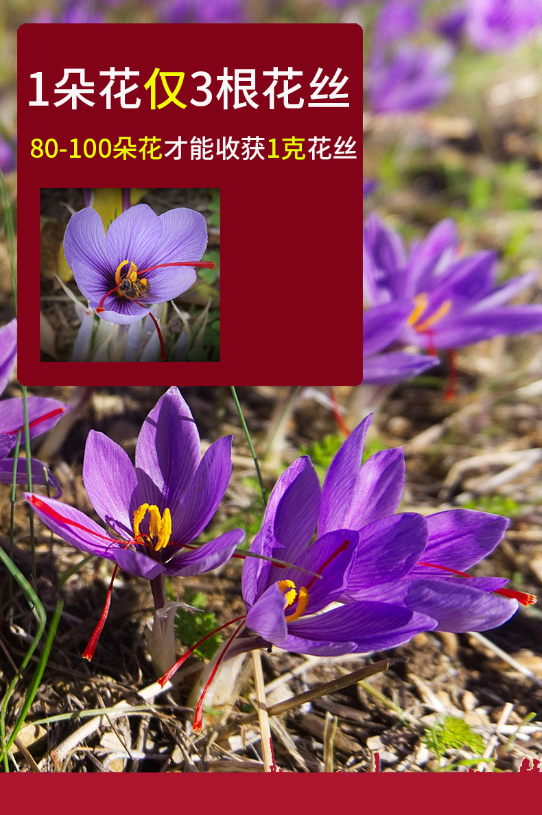 A5 Long Figure 06.jpg