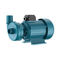 WBZ type mixer special centrifugal pump water pump three-phase platinum tube pipeline pump booster centrifugal pump self-priming pump 1449