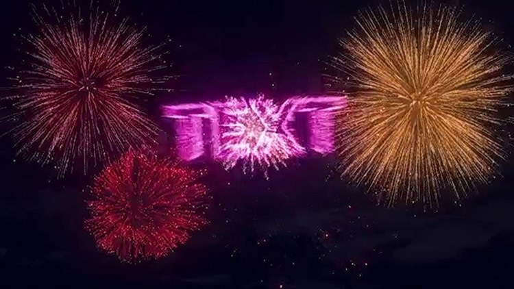 绽放烟花logo特效新年烟火庆祝节日升空爆炸动画AE模板视频素材插图7