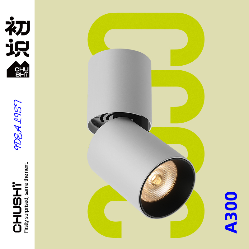 First-seen lighting led household spotlight Nordic living room ceiling light corridor aisle cob light