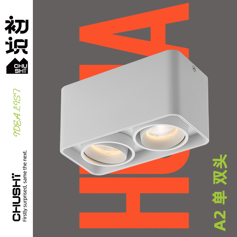 First-seen lighting light porch aisle corridor LED ceiling Lantern double-headed home living room suction dart light